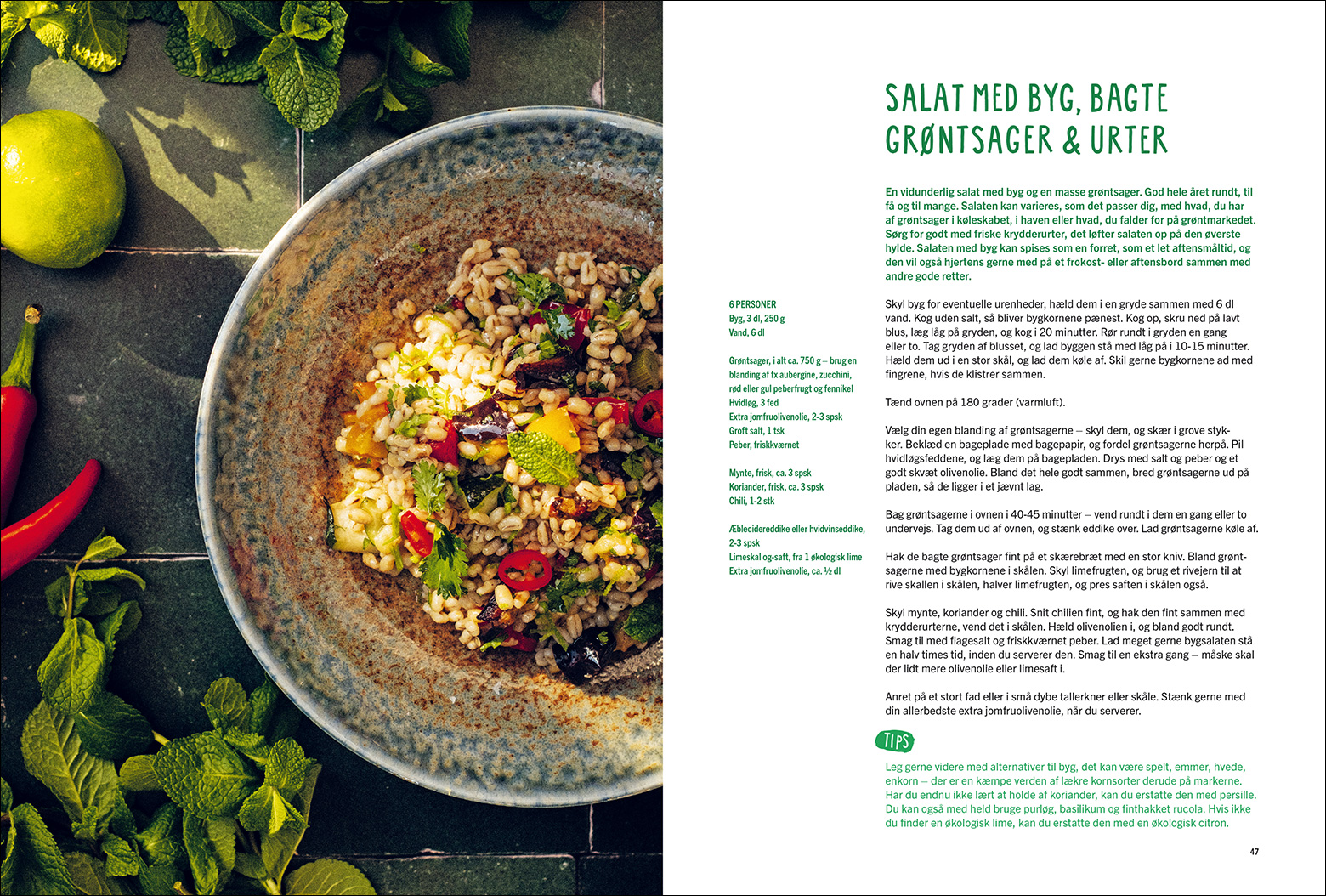 CAMILLOS-OPSLAG-TIL-HJEMMESIDER_46-47-1560px