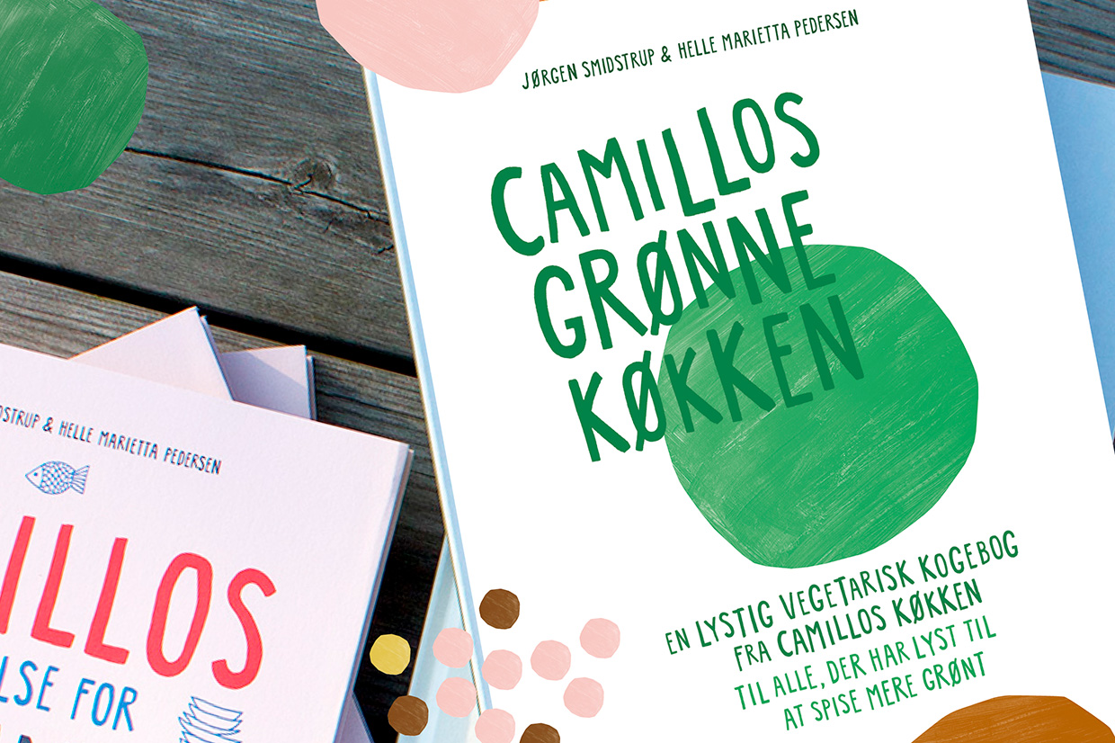 FORSIDEBILLEDE-TOP-SKABELON-TIL-CAMILLOS-HJEMMESIDE-ny1240x826