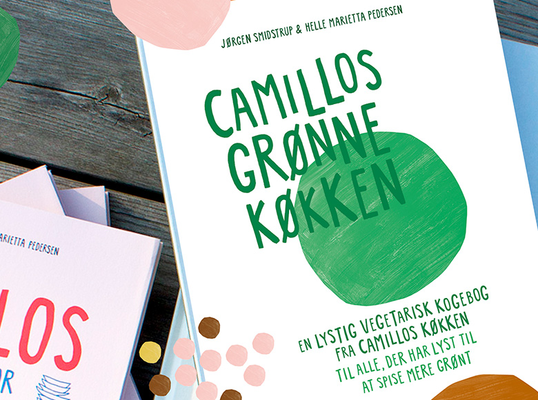 FORSIDEBILLEDE-TOP-SKABELON-TIL-CAMILLOS-HJEMMESIDE-ny780x580